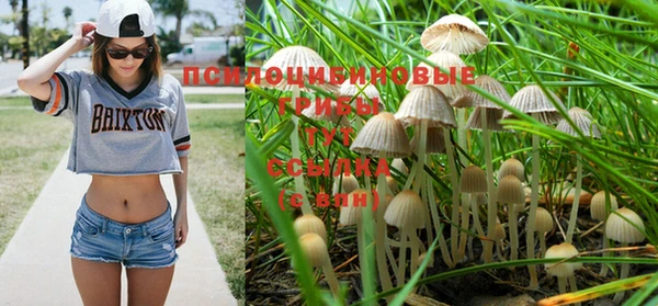 прущий лед Белоозёрский