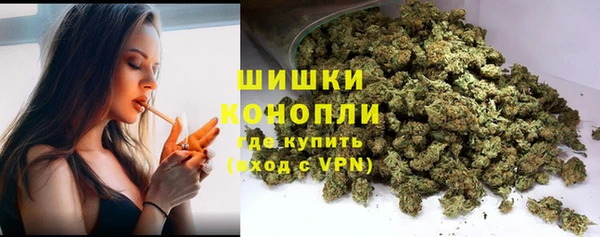 винт Белокуриха