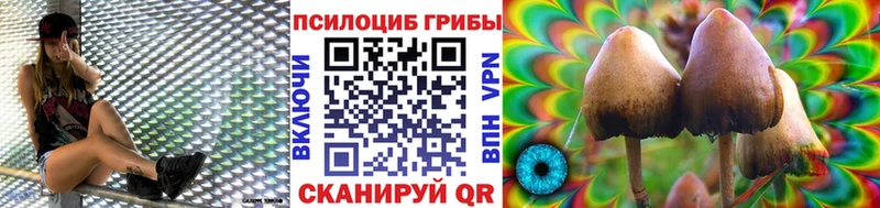 Псилоцибиновые грибы MAGIC MUSHROOMS  Купить где  Новороссийск 